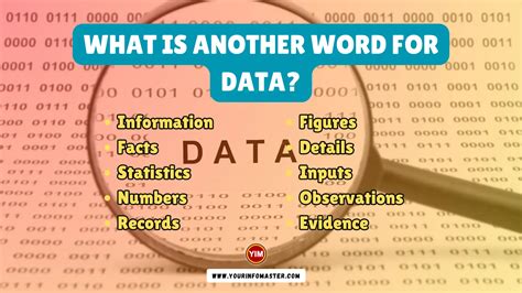 another word for data analysis.